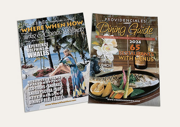 The covers of our latest Turks and Caicos Islands magazines.
