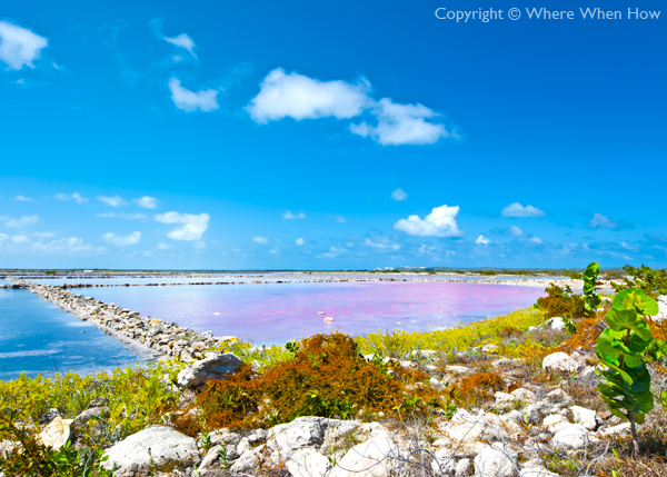 A photograph of the Saltpans on South Caicos, Turks and Caicos Islands, British West Indies