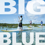 big blue scuba eco-tours kayaks providenciales turks caicos islands