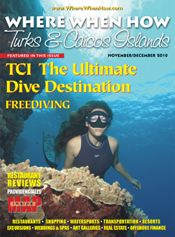Read our November / December 2010 issue of Where When How - Turks & Caicos Islands magazine!