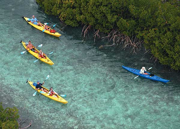 A photograph of kayaking in the Princess Alexandra Nature Reserve, Providenciales (Provo), Turks and Caicos Islands