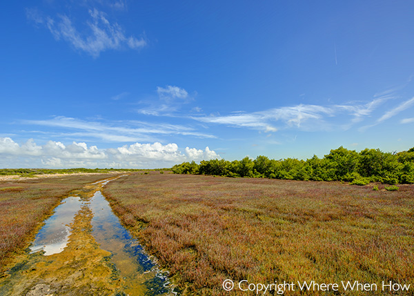 A photograph of South Creek, Salt Cay, Turks and Caicos Islands, British West Indies